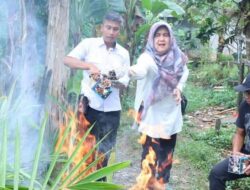 Lindungi Petani Kaltim, Ribuan Benih Kelapa Sawit Ilegal Dimusnahkan