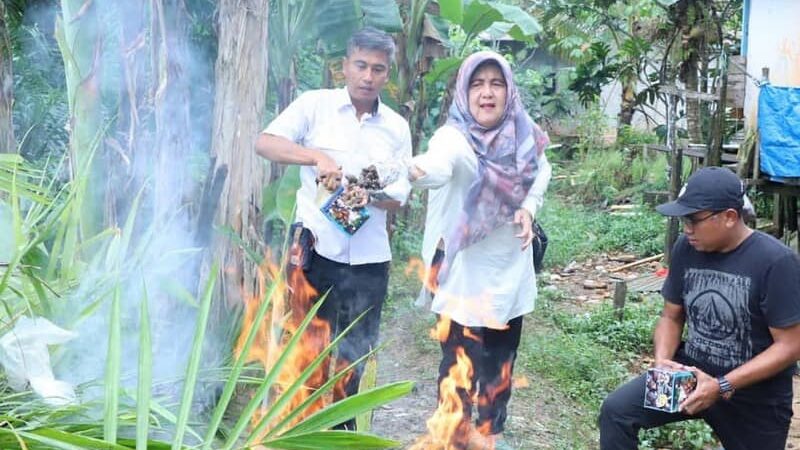 Lindungi Petani Kaltim, Ribuan Benih Kelapa Sawit Ilegal Dimusnahkan