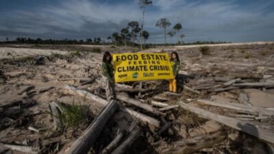Jadi Polemik, Proyek ‘Food Estate’ Disebut Sudah Salah sejak Awal