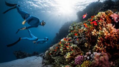 Selami Keindahan Bawah Laut, Ini Lima Spot Freediving Terbaik di Indonesia