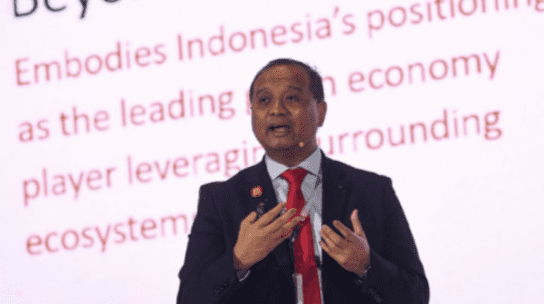 Negara-Negara ASEAN Minati Investasi Properti dan Energi Terbarukan di IKN