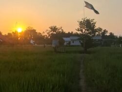 Pesona Betapus, Wisata Sawah Asri ala Yogyakarta di Kawasan Samarinda