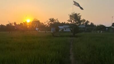 Pesona Betapus, Wisata Sawah Asri ala Yogyakarta di Kawasan Samarinda