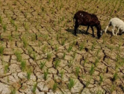 Pemerintah Didesak Bertindak Cepat Atasi Krisis Air Bersih di Sejumlah Daerah