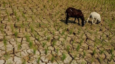 Pemerintah Didesak Bertindak Cepat Atasi Krisis Air Bersih di Sejumlah Daerah