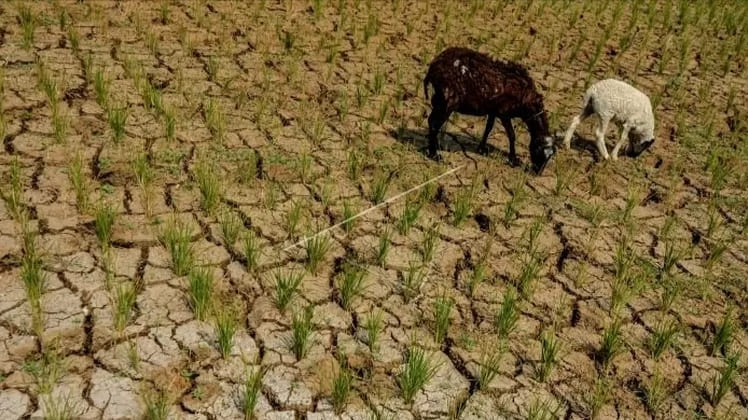 Pemerintah Didesak Bertindak Cepat Atasi Krisis Air Bersih di Sejumlah Daerah