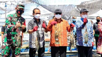 Jadi Komoditas Ekspor, Produk Perikanan Kaltim Tak Pernah Ditolak