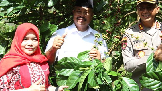 Produk Kopi Luwak Desa Perangat Baru Tembus Pasar Bali