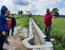 Dukung Pertanian, Distanak Kukar Targetkan Bangun Saluran Irigasi Puluhan Kilometer