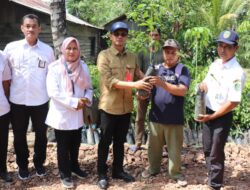 Dorong Diversifikasi Tanaman, Disbun Kaltim Salurkan Bibit Karet untuk Kelompok Tani