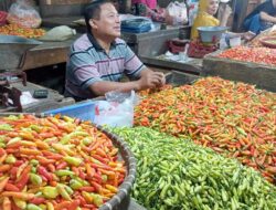 Harga Cabai Rawit Merangkak Naik, Para Pedagang Pasar Segiri Mengeluh