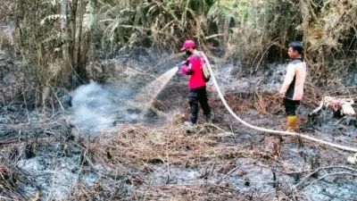 Duh, BMKG Sebut Ada Seratus Lebih Titik Panas Terdeteksi di Kaltim