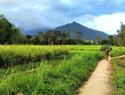 Topang Pembangunan IKN, Kemenparekraf Dorong Terciptanya Desa-Desa Wisata di Kaltim