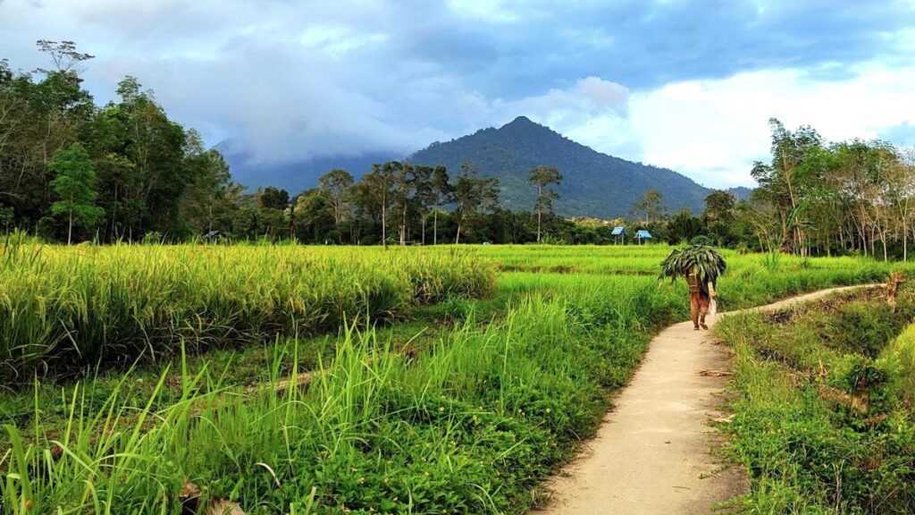 Topang Pembangunan IKN, Kemenparekraf Dorong Terciptanya Desa Wisata di Kaltim