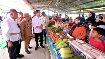 Dukung UMKM, Jokowi Klaim Pemerintah Sudah Sediakan Berbagai Skema Pembiayaan 