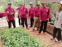 Tingkatkan Kompetensi, Sepuluh ASN Disbun Kukar Ikuti Pelatihan Budidaya Lada