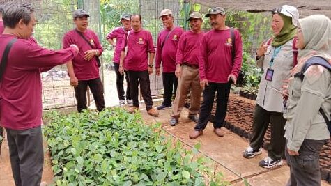 Tingkatkan Kompetensi, Sepuluh ASN Disbun Kukar Ikuti Pelatihan Budidaya Lada