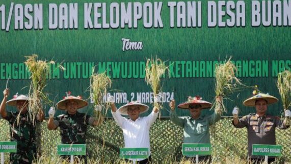 Petani Desa Buana Jaya Nikmati Panen Raya Padi Sawah Bersama Pj Gubernur