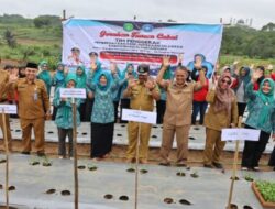 Antisipasi Kenaikan Harga, TP PKK Kukar Tanam Ratusan Bibit Cabai di Tenggarong Seberang
