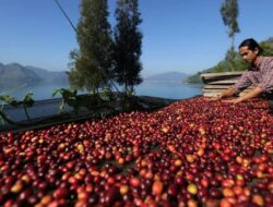 Pemkab Kukar Dorong Pemberdayaan Petani Kopi Lokal, Ini yang Akan Dilakukan