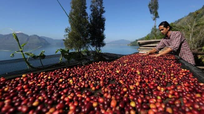 Pemkab Kukar Dorong Pemberdayaan Petani Kopi Lokal, Ini yang Akan Dilakukan
