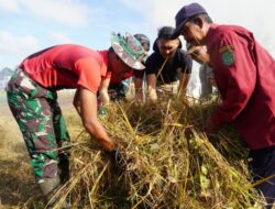 Taruna Latsitarda Nusantara Dilibatkan dalam BBGRM di Desa Panca Jaya