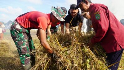 Taruna Latsitarda Nusantara Dilibatkan dalam BBGRM di Desa Panca Jaya