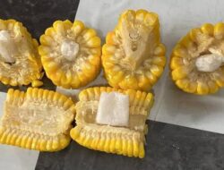 Duh, Lapas Narkotika Samarinda Temukan Sabu-Sabu Diselundupkan ke Jagung Rebus  