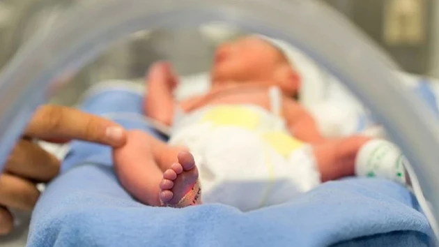 Samarinda Jadi yang Terendah, Angka Kesuburan Total Kaltim Menurun dalam Lima Dekade 