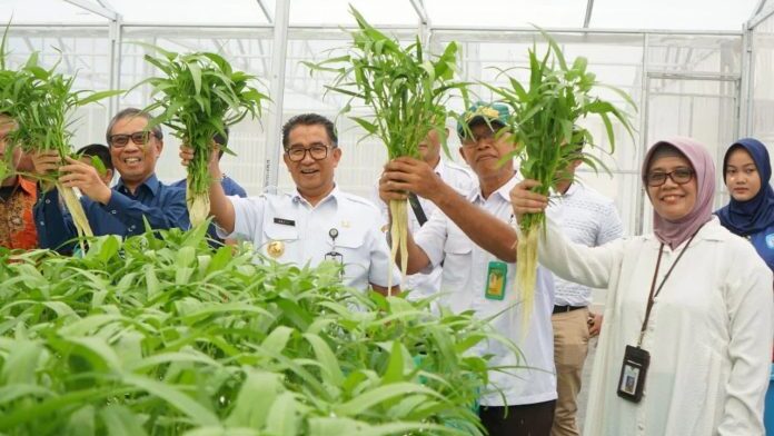 Pj Gubernur Kaltim Apresiasi SKOI Konsisten Perkuat Ketahanan Pangan Melalui Greenhouse