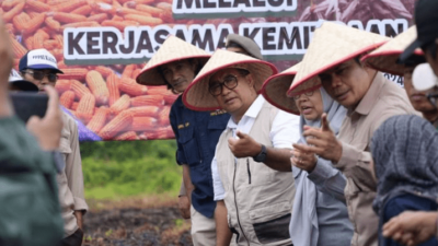 Pj Gubernur Kaltim Minta Lahan Eks Tambang Dimanfaatkan Lewat Kolaborasi Berbagai Pihak