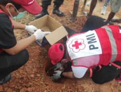 Polisi Selidiki Penemuan Jasad Bayi oleh Tukang Gali Kubur di TPU Loa Bahu