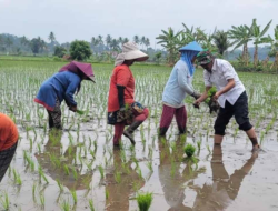 Peningkatan Produktivitas Pertanian, Distan PPU Fokus Optimalkan Lahan