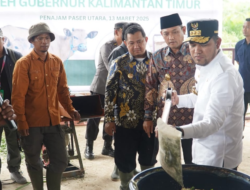 Dorong Produksi Sapi Lokal, Gubernur Kaltim Resmikan Kandang Intensive Farming