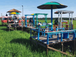 Wisata Sawah Gunung Mulia di PPU Hadirkan Pesona Alam Pedesaan yang Tenang