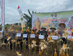 Pemkab PPU Bersama Polres Gelar Panen Raya Jagung, Perkuat Ketahanan Pangan Lokal