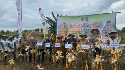 Pemkab PPU Bersama Polres Gelar Panen Raya Jagung, Perkuat Ketahanan Pangan Lokal