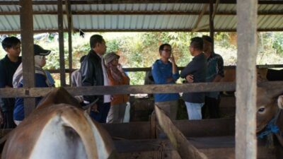 Pansus LKPJ Gubernur Kaltim Tinjau Pengembangan Desa Korporasi Ternak di Kutim