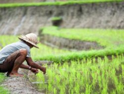 Sektor Pertanian Kaltim Tertekan, DPRD Dorong Pemerintah Hadirkan Solusi Nyata