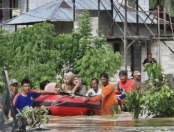 Sepaku Dilanda Banjir, BPBD Terus Pantau dan Tangani Lokasi Terdampak