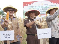 Fadly Imawan Hadiri Panen Raya Jagung di PPU, Dorong Swasembada dan Kesejahteraan Petani