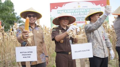 Fadly Imawan Hadiri Panen Raya Jagung di PPU, Dorong Swasembada dan Kesejahteraan Petani