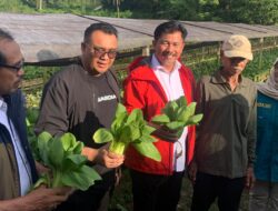 Panen Sayur Bersama Petani Maluhu, Bupati Kukar Realisasikan Bantuan Langsung di Tempat