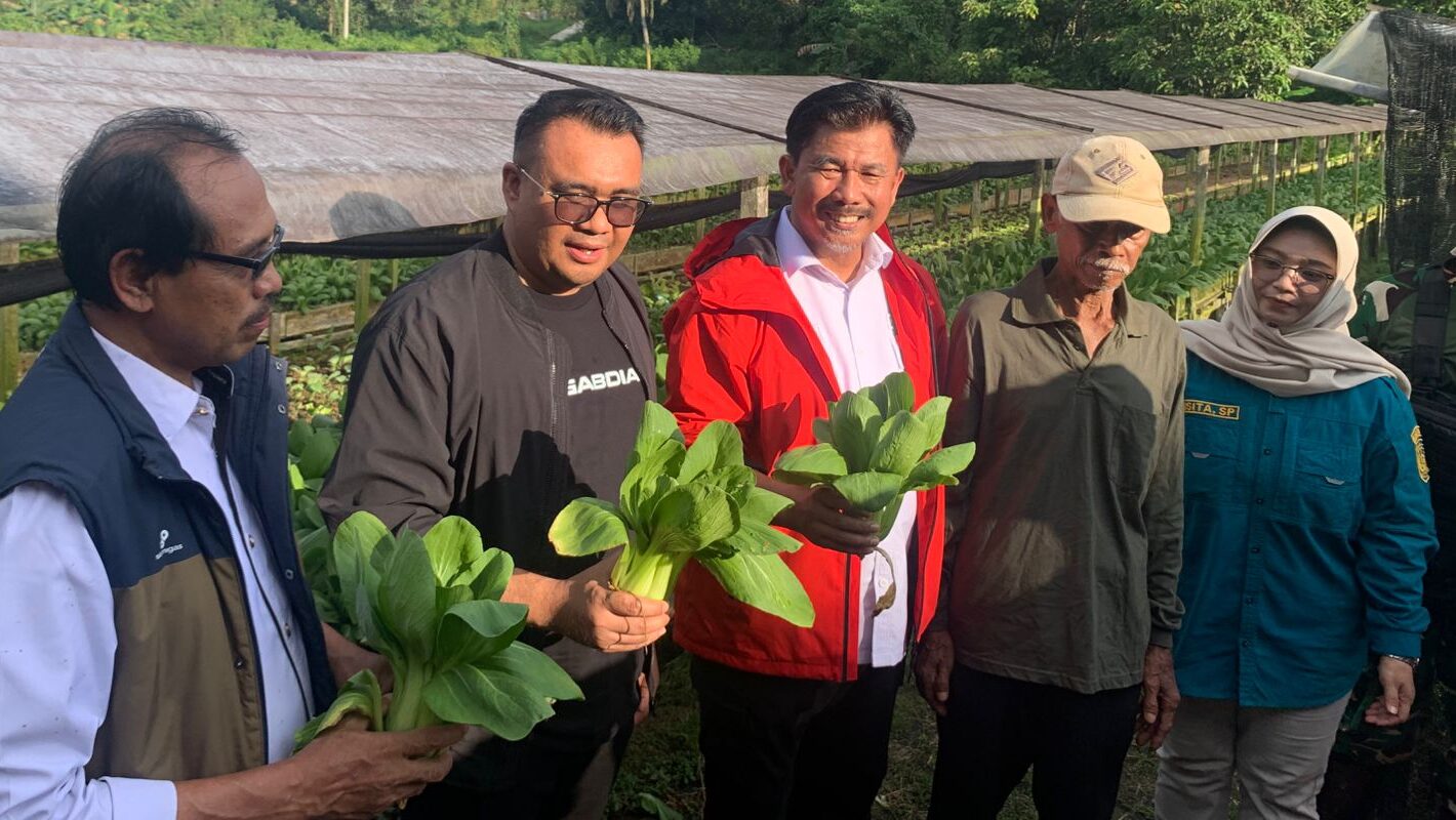 Panen Sayur Bersama Petani Maluhu, Bupati Kukar Realisasikan Bantuan Langsung di Tempat