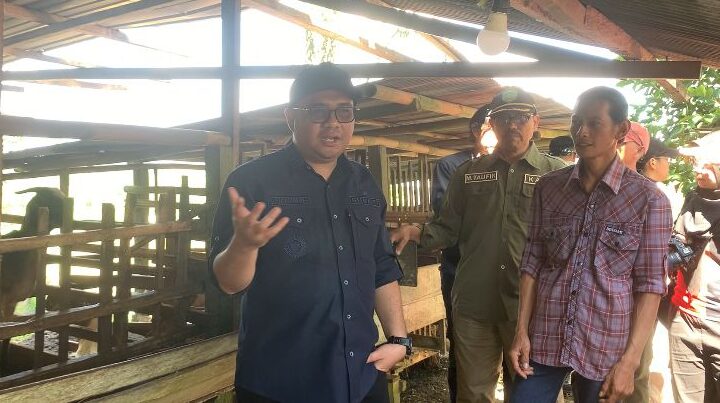 Petani Muda Margahayu Didorong Kembangkan Peternakan Ayam, Pemkab Kukar Siap Dukung
