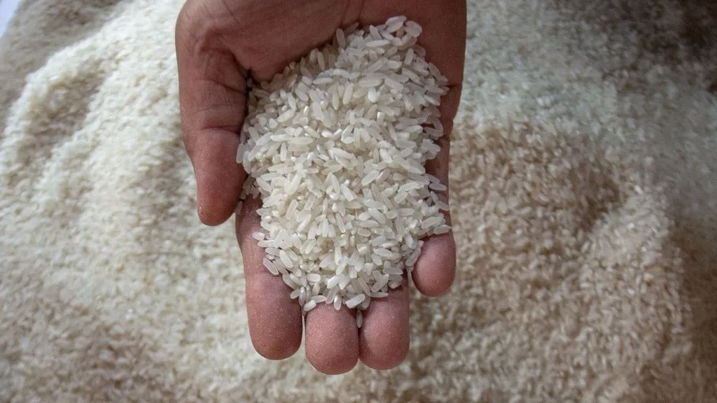 Pemerintah Bakal Tindak Tegas Pelanggaran Standar Beras Premium dan Medium