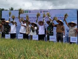 Pemkab Kukar Panen Demplot Padi LEISA, Wagub Tekankan Pentingnya Mekanisme Pertanian