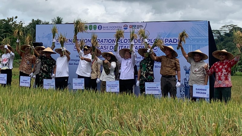 Pemkab Kukar Panen Demplot Padi LEISA, Wagub Tekankan Pentingnya Mekanisme Pertanian