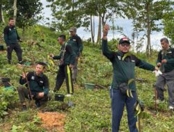 Ratusan Alumni HMI dari 4 Wilayah Tanam Pohon di IKN, Bahas Arah Pembangunan dan Deklarasi Nusantara