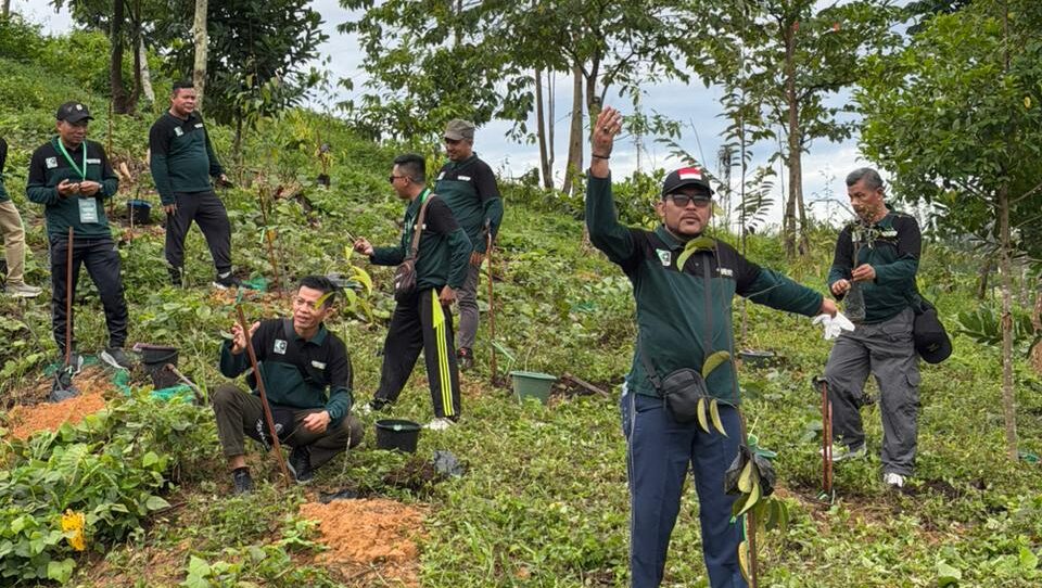 Ratusan Alumni HMI dari 4 Wilayah Tanam Pohon di IKN, Bahas Arah Pembangunan dan Deklarasi Nusantara